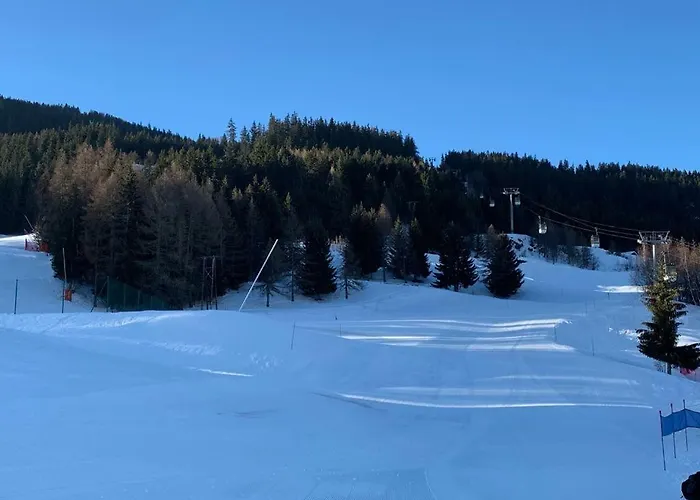 Le Rami Les Coches * La Plagne